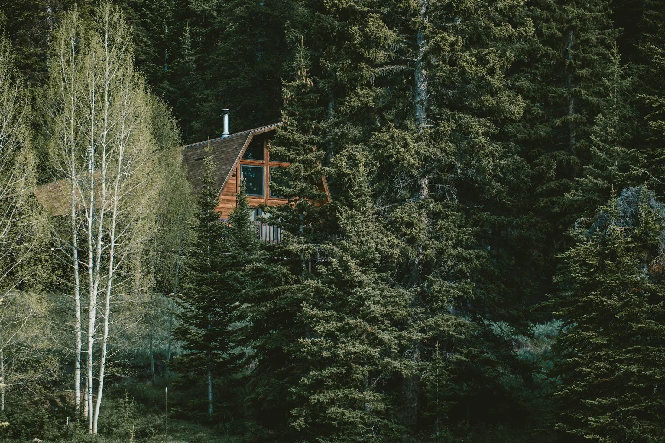 A mountain cabin among evergreen trees in Park City, Utah